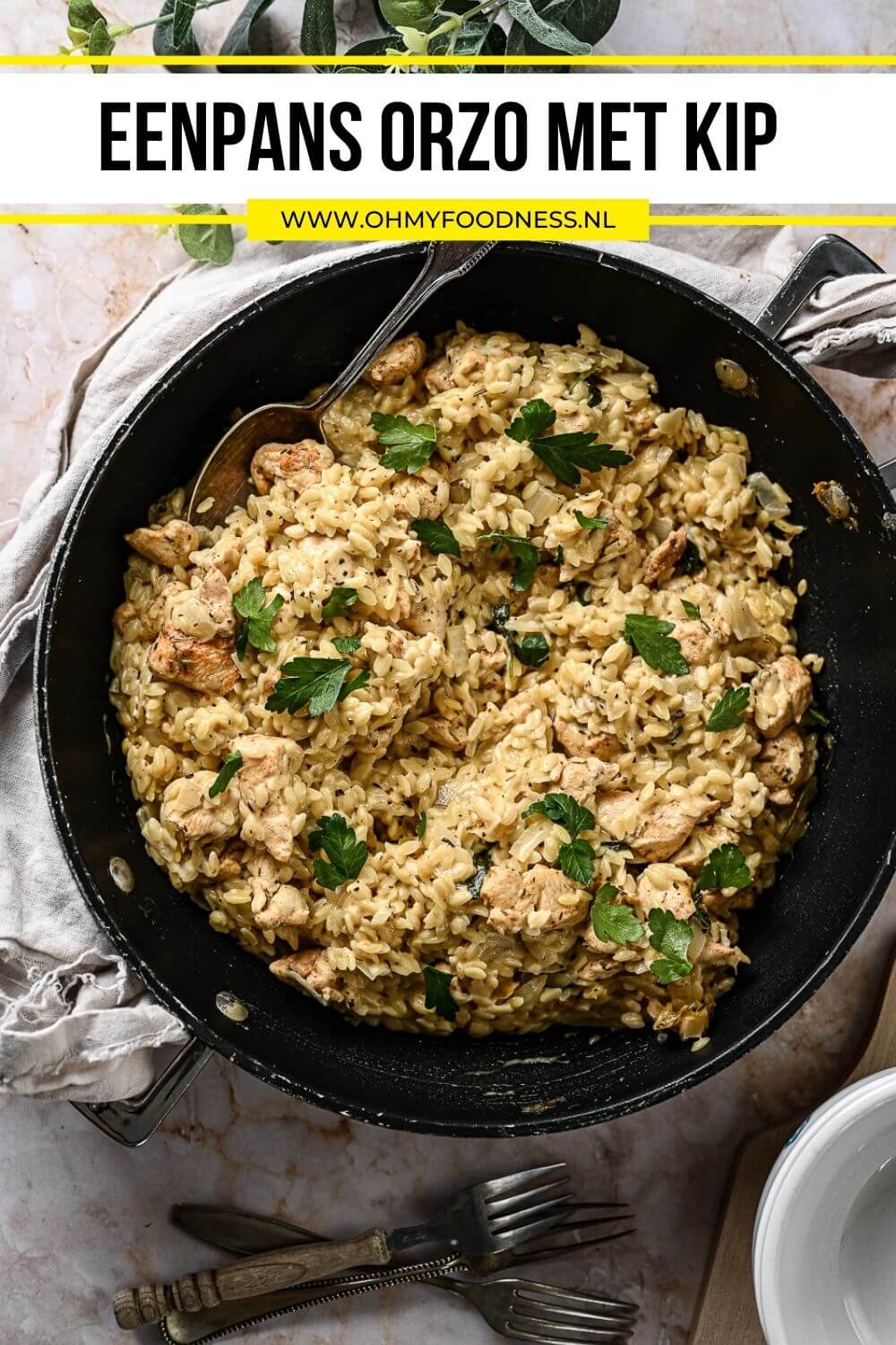 Recept Met Orzo En Kip Uit 1 Pan Mega Romig En Smaakvol