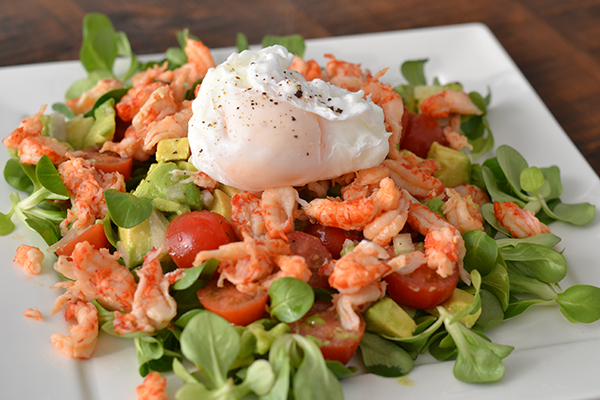 avocadosalade met rivierkreeftjes