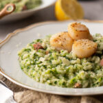 Sla-risotto met coquilles