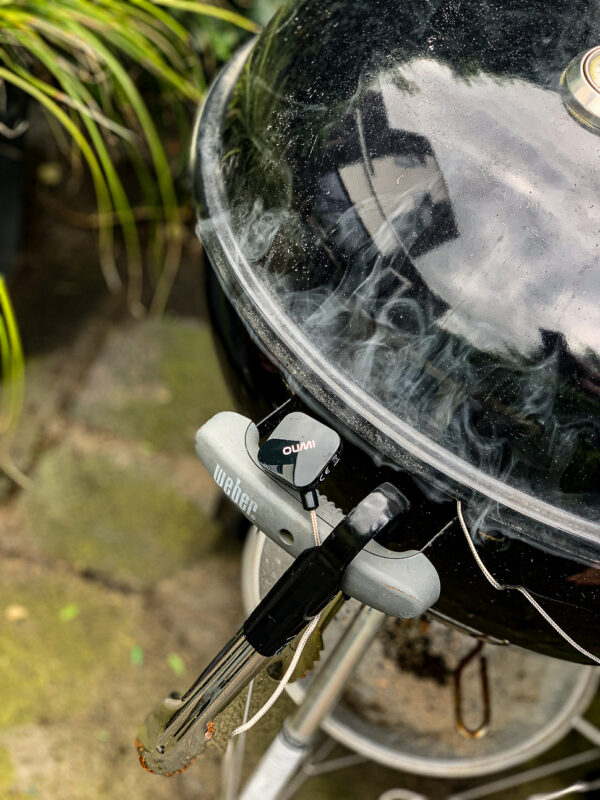 Budgetproof bluetooth thermometer voor de BBQ