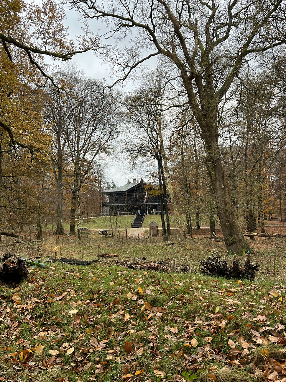 48 uur op de Veluwe