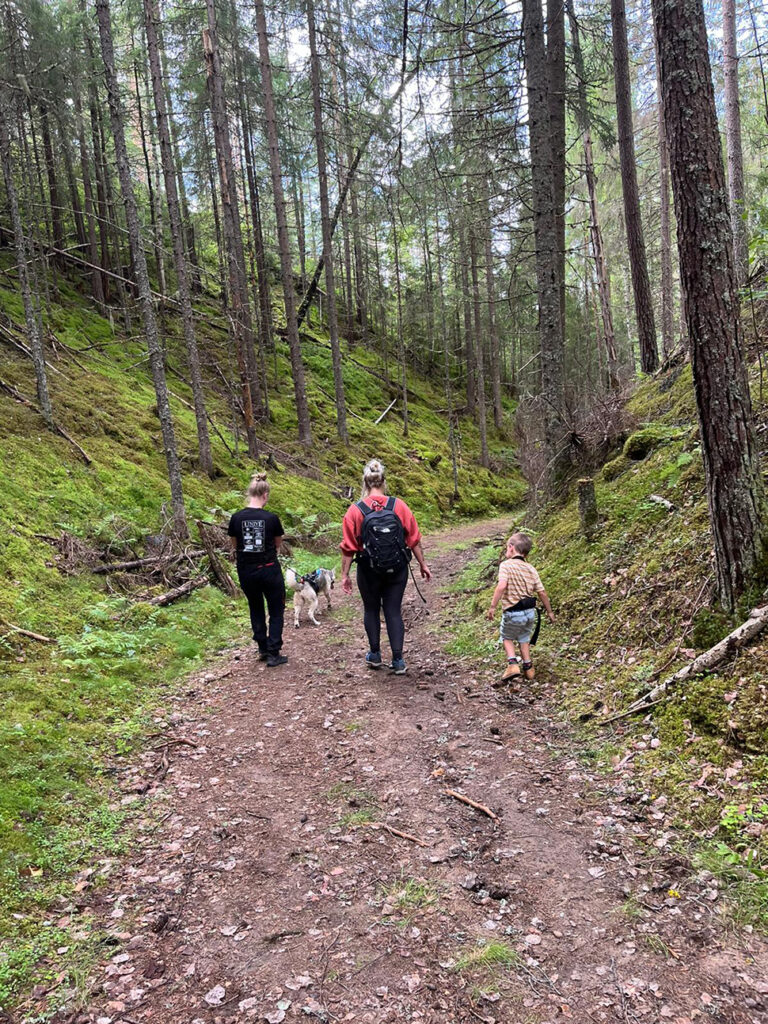 Doen in Fredriksberg - Zweden