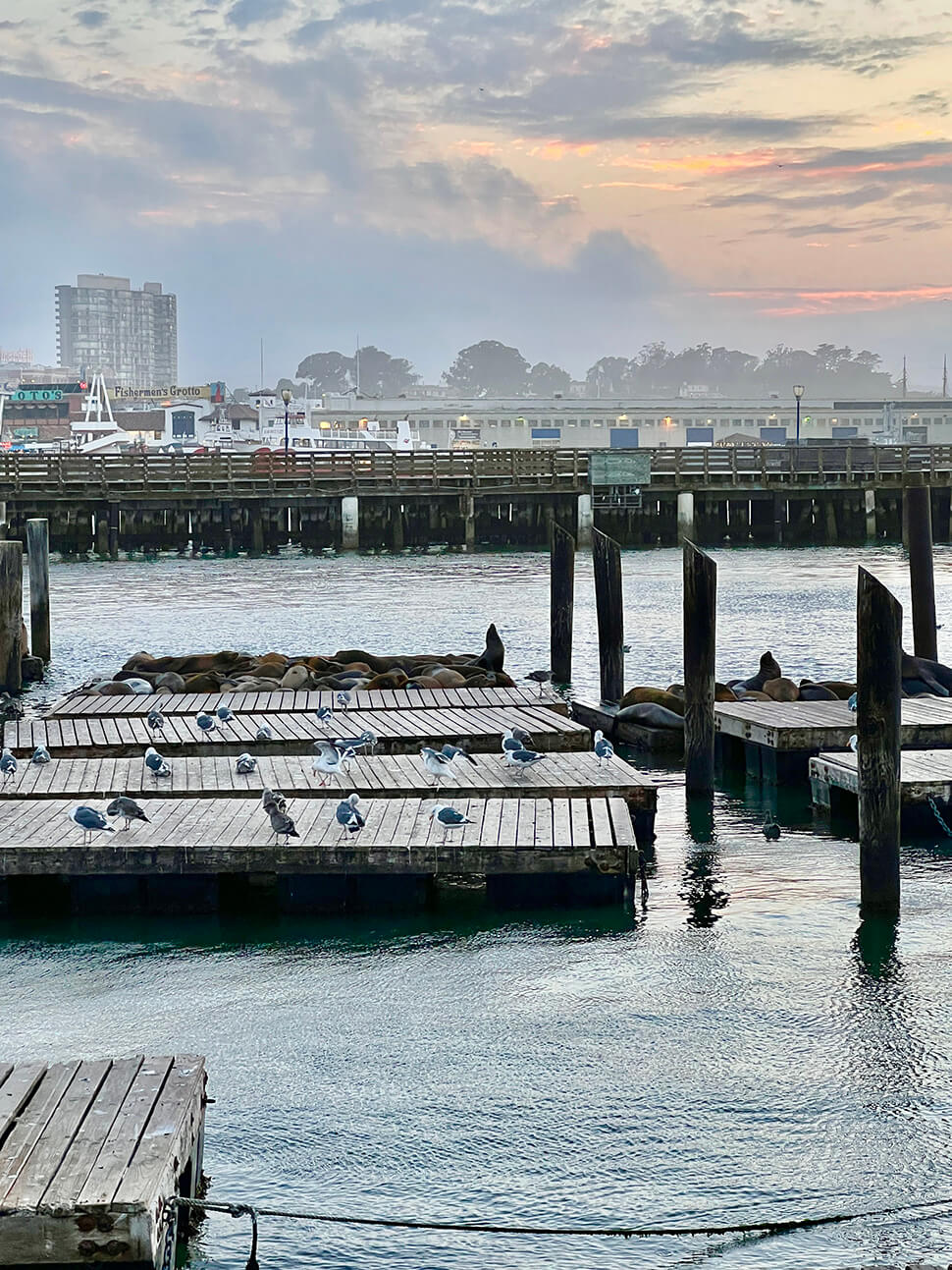 Pier 39