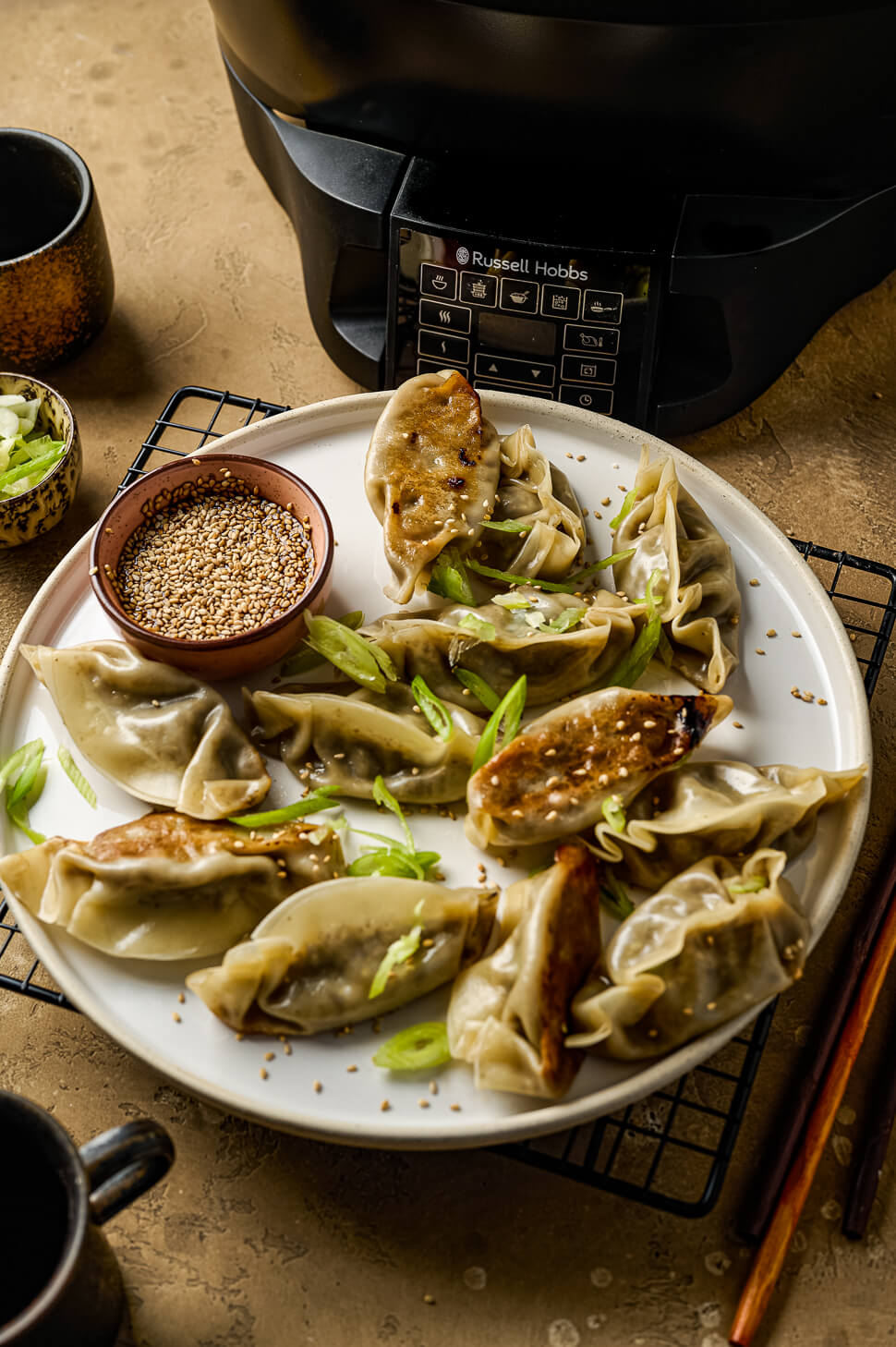 vegetarische gyoza