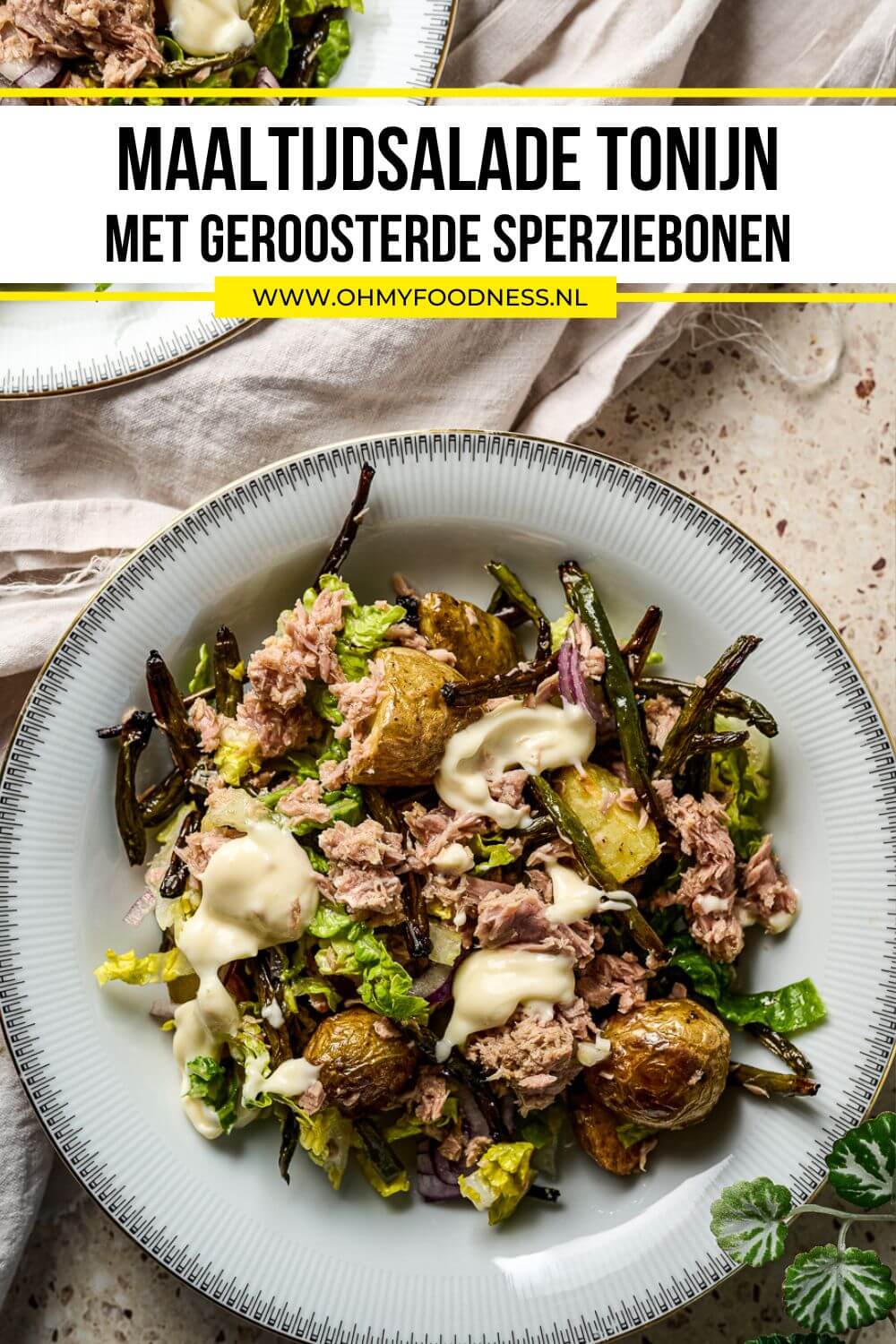 maaltijdsalade met tonijn