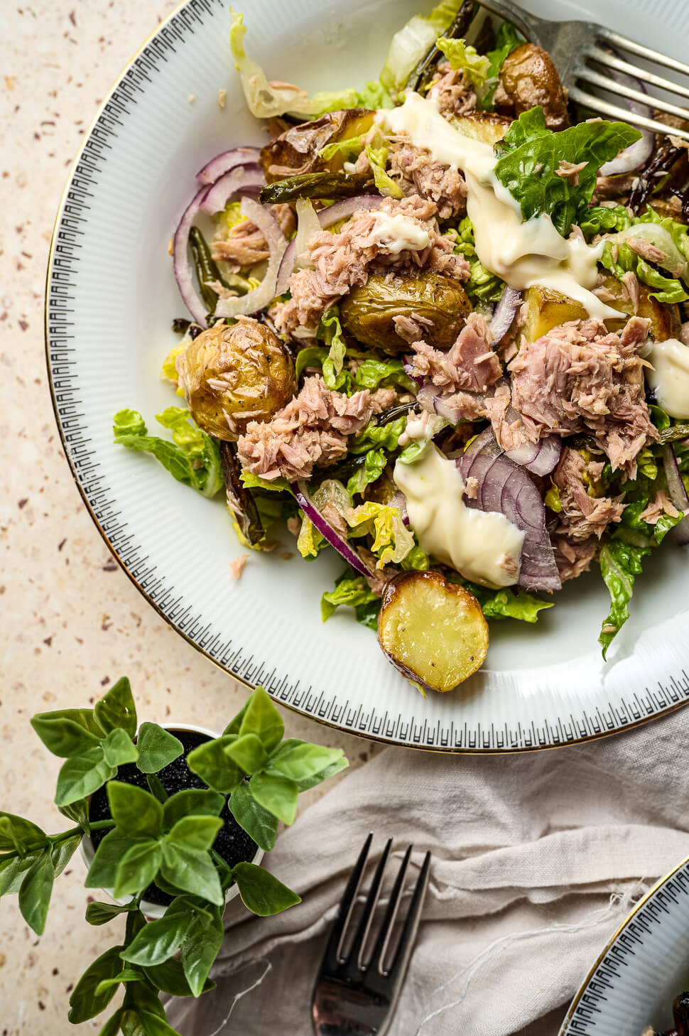 maaltijdsalade tonijn geroosterde sperziebonen