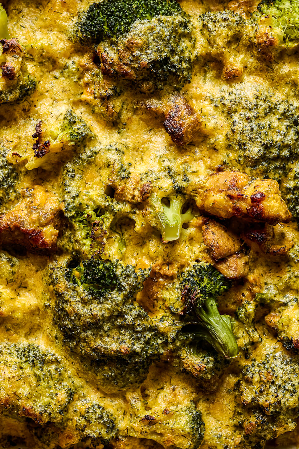 kip broccoli ovenschotel