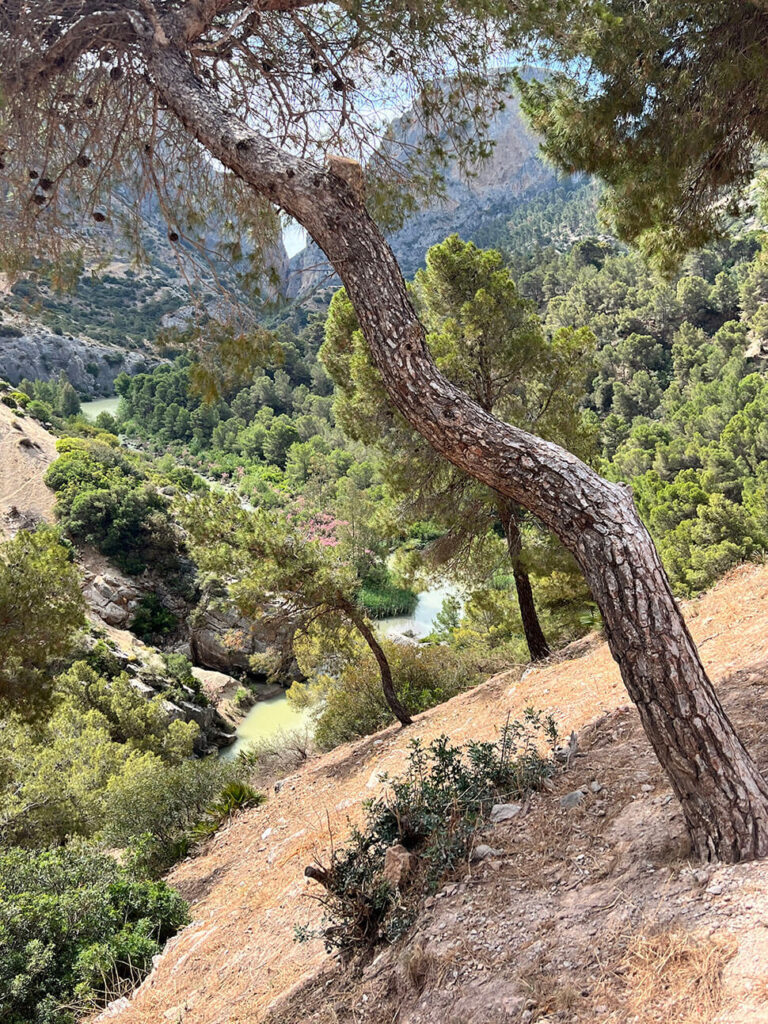 Caminito del rey