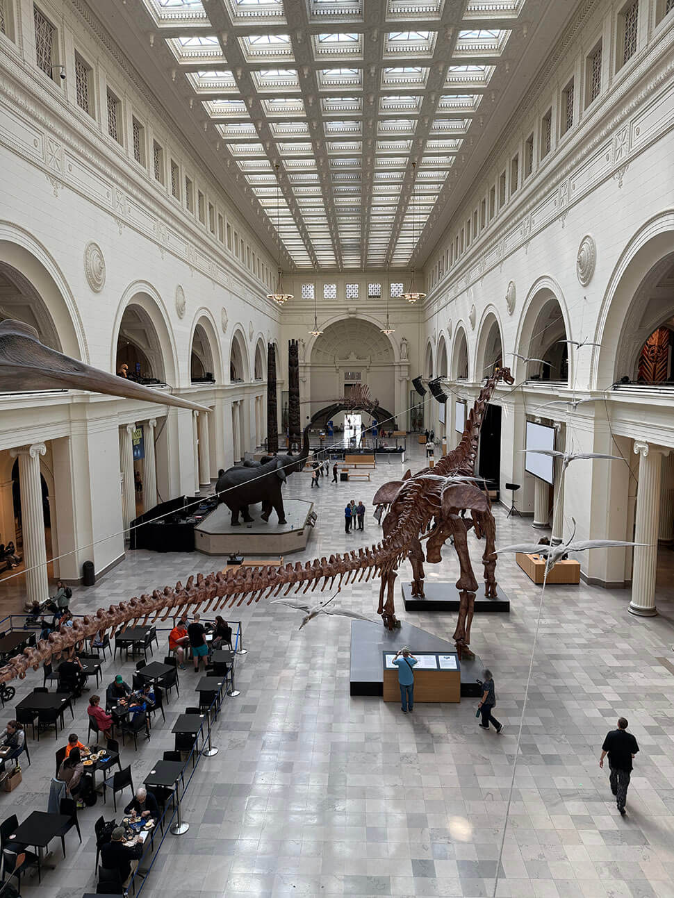 Field Museum Chicago