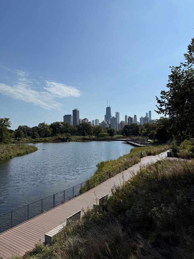 Licoln Park Zoo