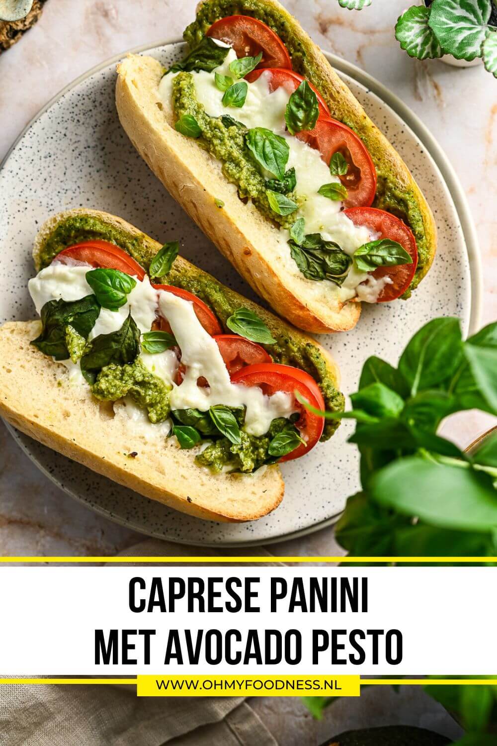 Caprese panini met avocado pesto 6 Caprese panini avocadopesto