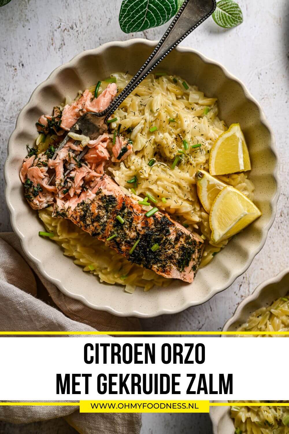 Romige citroen orzo met zalm 6 orzo risotto met citroen