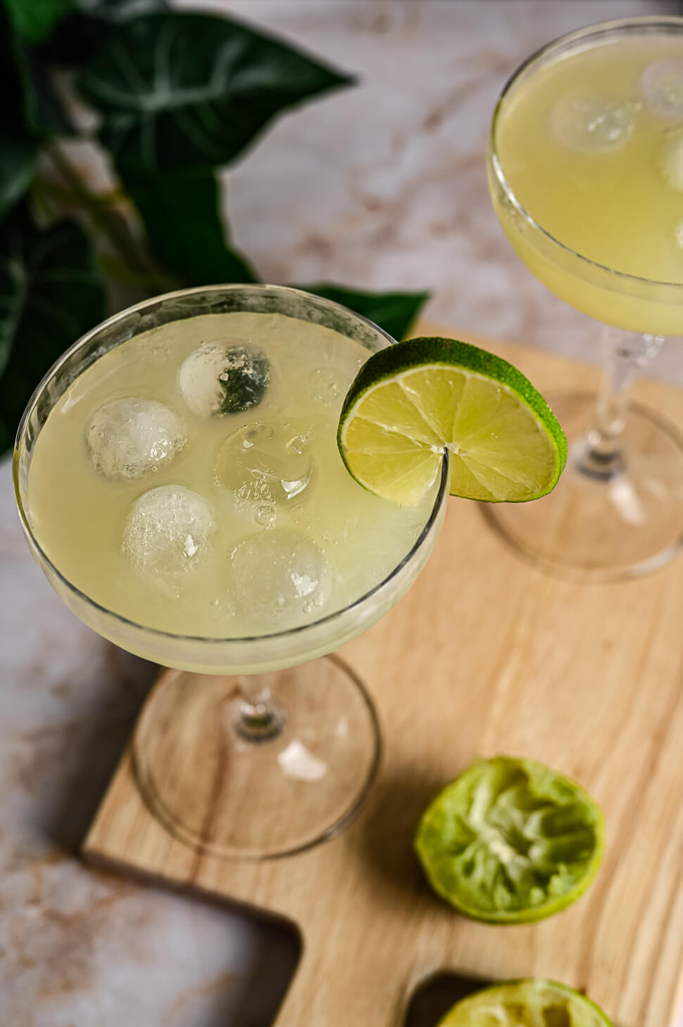 Daiquiri