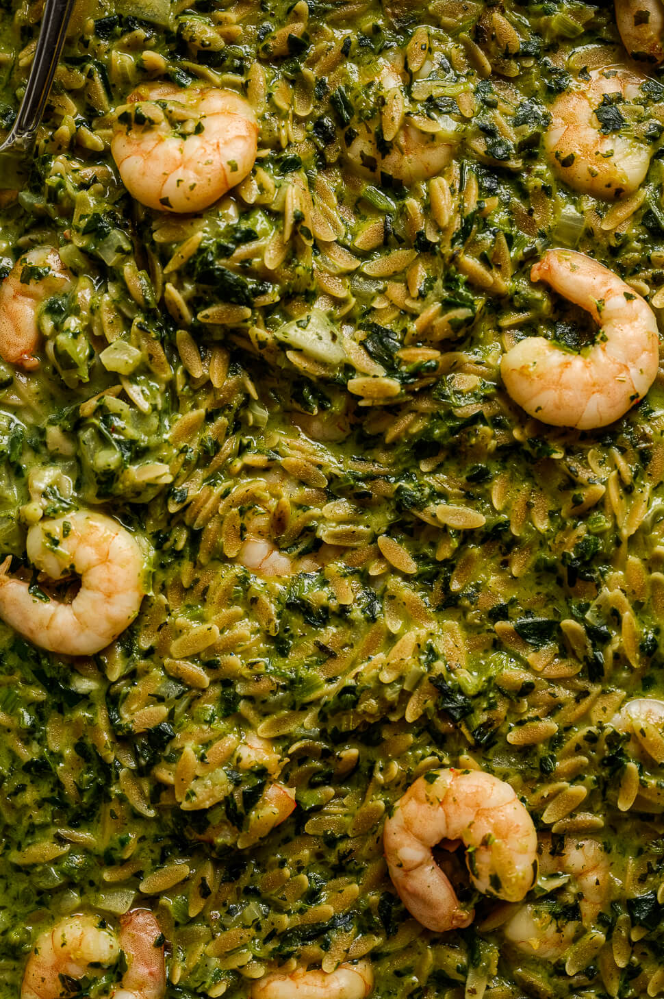 Knoflook orzo met garnalen en spinazie 6 Spinazie orzo met garnalen