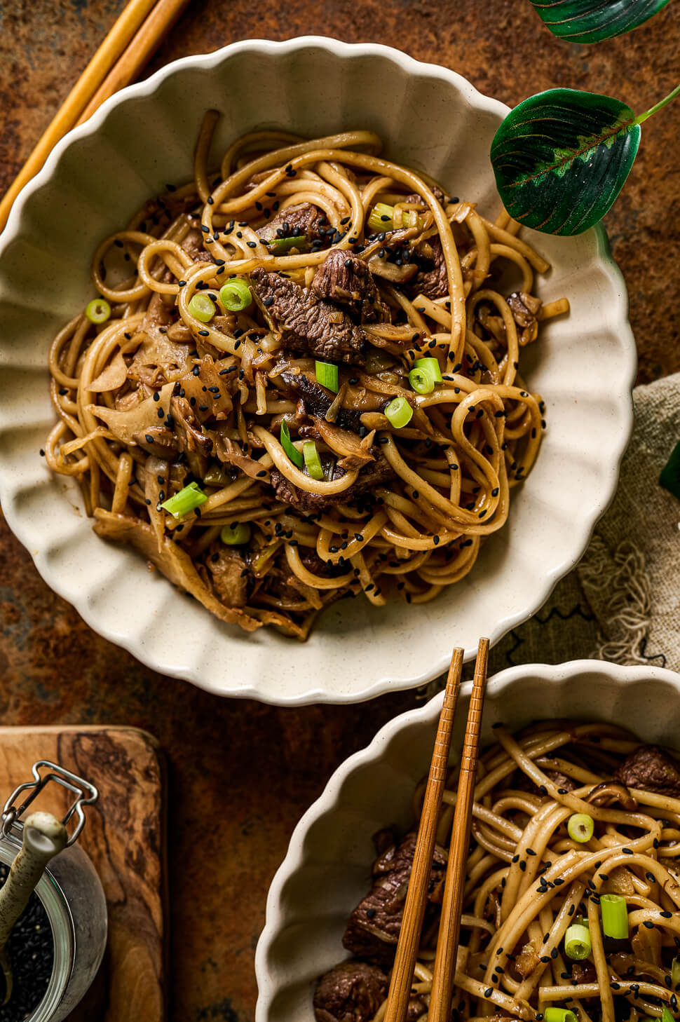 Japanse udon noedels